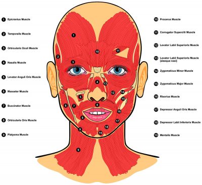 Face Yoga Looks Weird, But Is An Anti-Aging Miracle - YOGA PRACTICE
