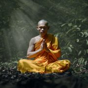 Understanding the Lost Teachings of Yoga