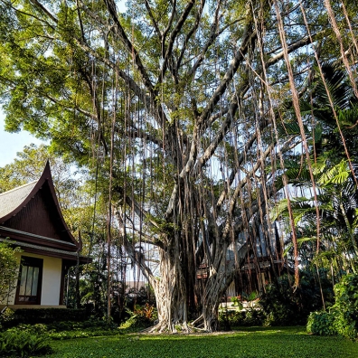 chiva-som-hua-hin-the-banyan-tree
