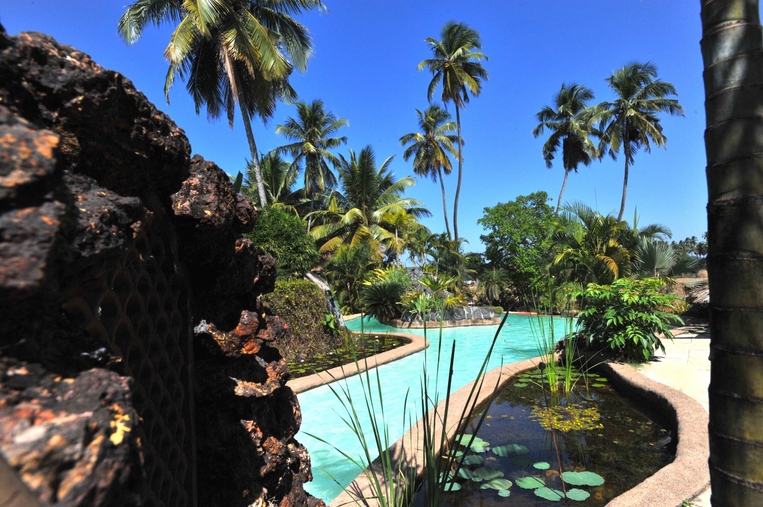 Yoga-mahic-eco-retreat-india-goa-botique-hotel-blue-swimming-pool-2