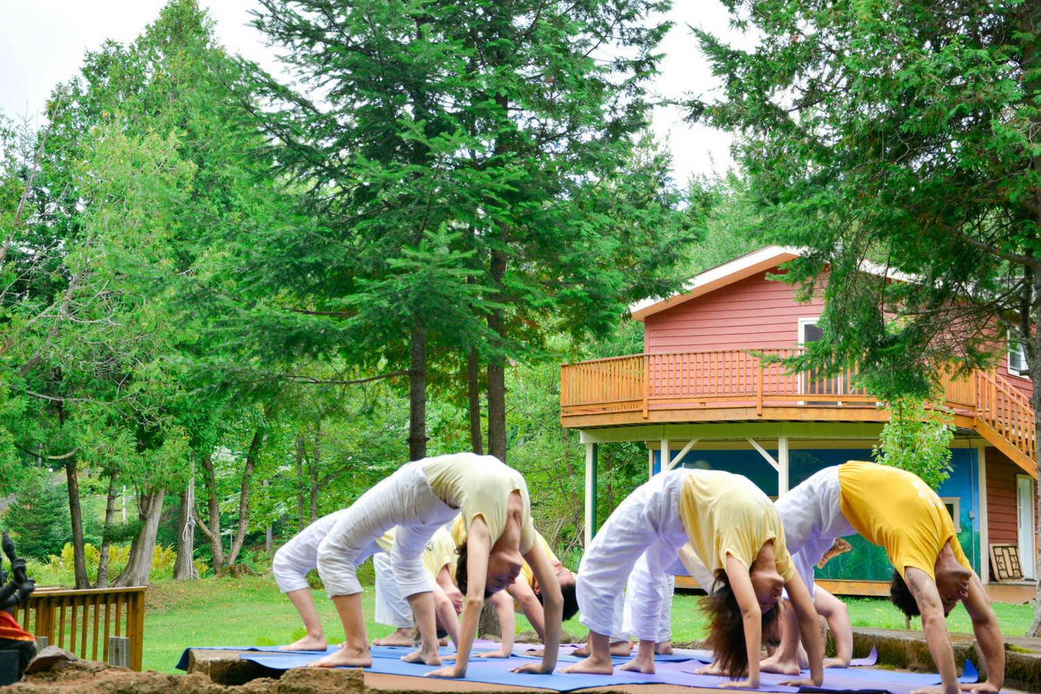 Home - Sivananda Yoga Camp