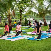 10 Best Yoga Teacher Trainings in World 2020