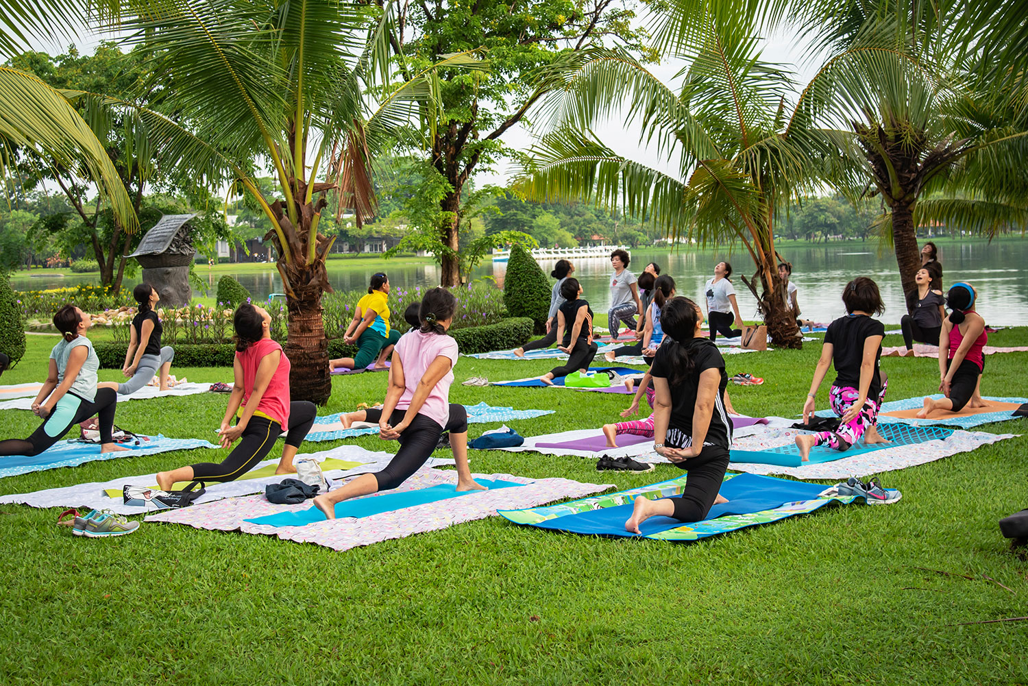 Yoga teacher.