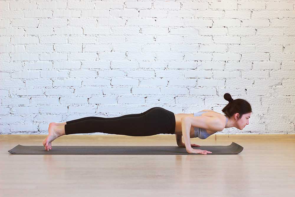 Eka Pada Chaturanga Dandasana / One Legged Four Limbed Staff Pose