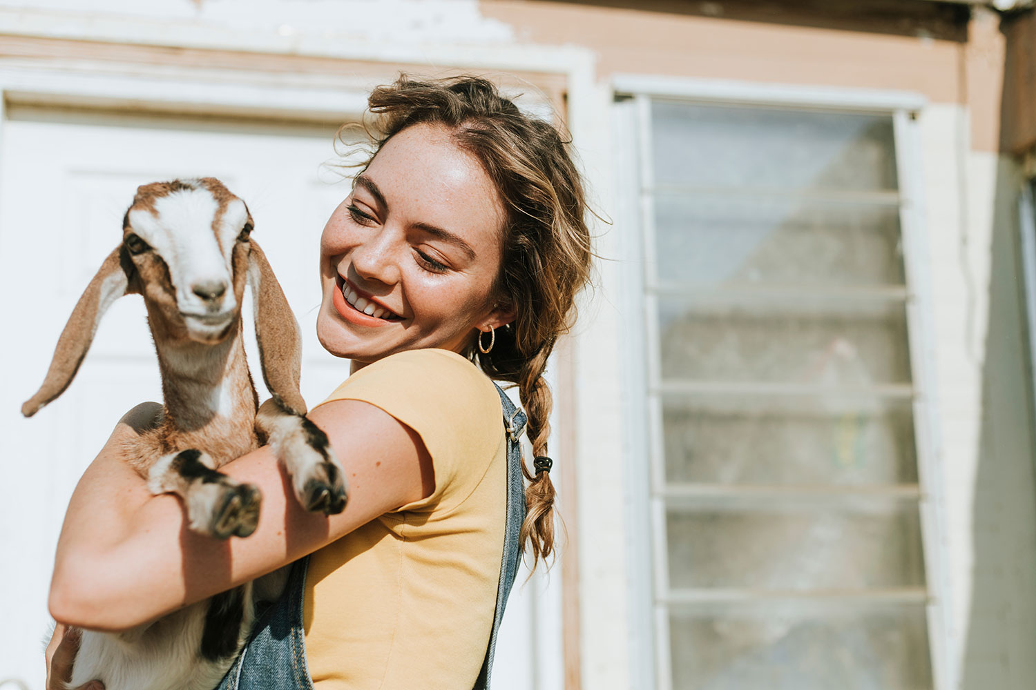 Combating Stress With the Latest Exercise Craze: Goat Yoga