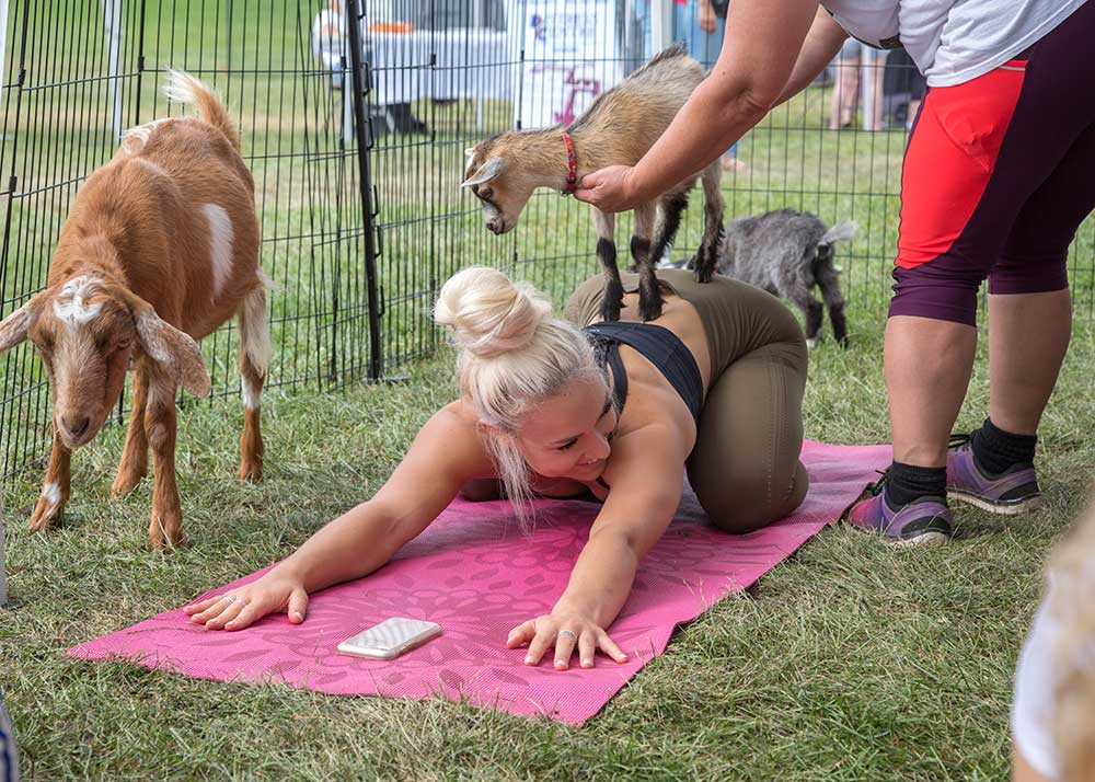 How To Prepare For A Goat Yoga Class
