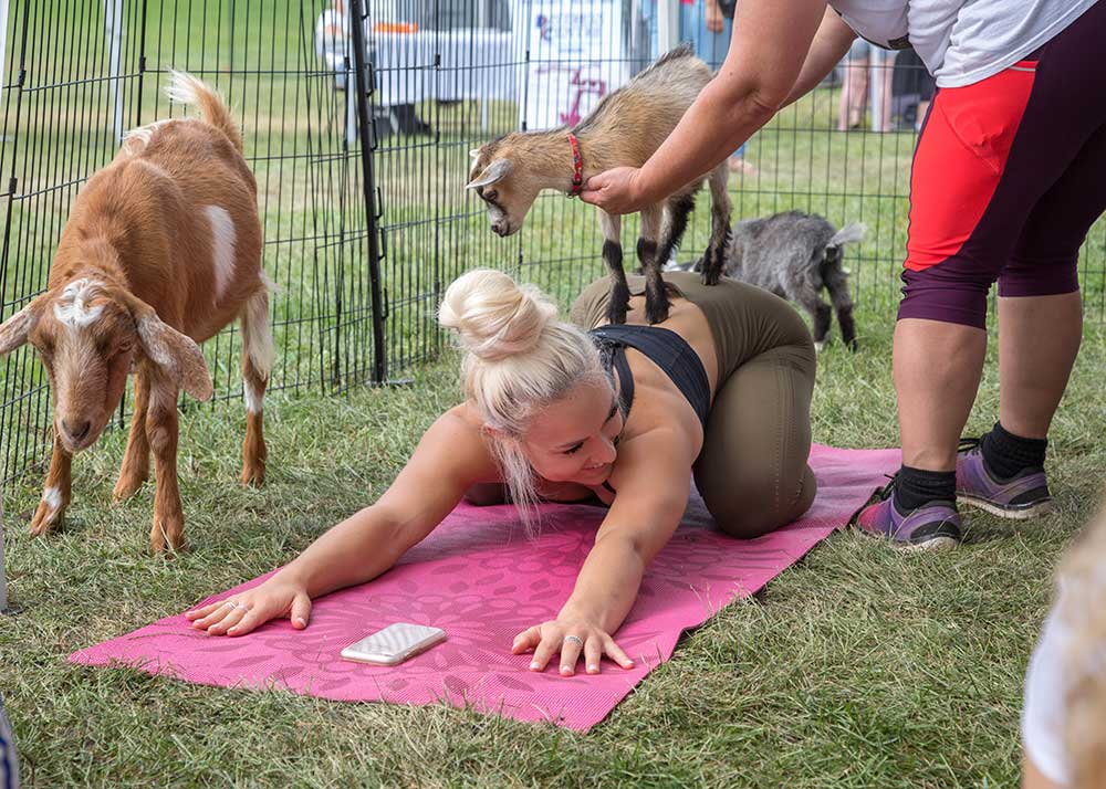 Instant Pot - Goat Yoga | Dinner. Done. ™ In Instant Pot's first-ever  advertising campaign, we imagined what you could do with all the free time  on your hands when you're not... |