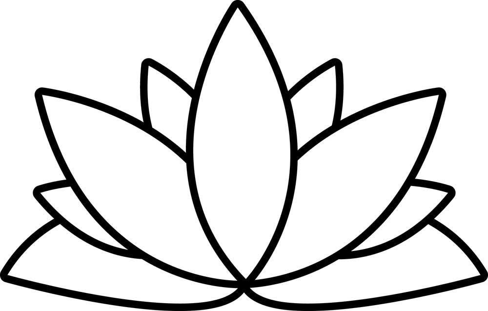 The Lotus Flower