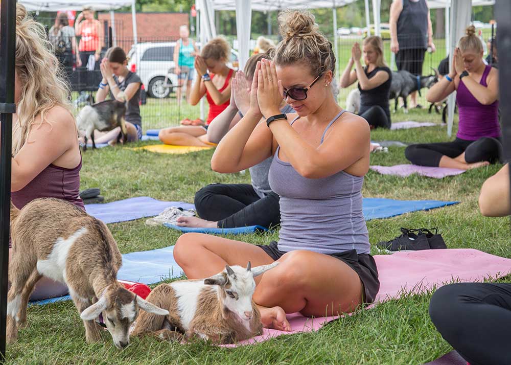 Why You Should Absolutely Try Goat Yoga (at least once) - Keeping Up with  Kahla